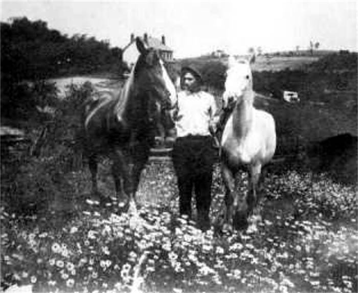 Wallace Anderson with the family horses.
