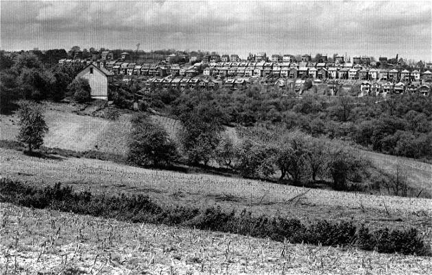 The Anderson Farm - 1936