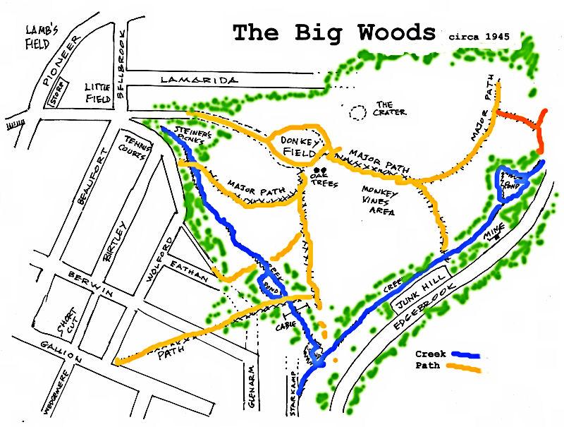 The Big Woods