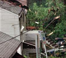 Tornado Damage - Mount Washington 1998
