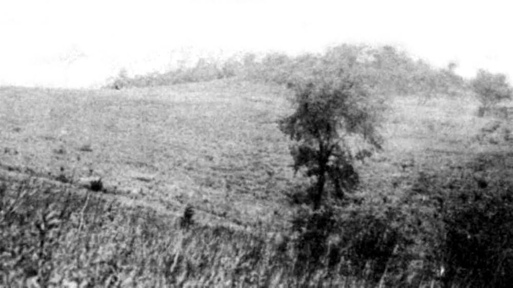 Moore Park? 1910