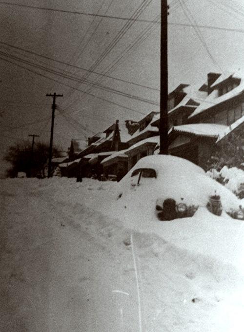 Brookline Boulevard - 1950