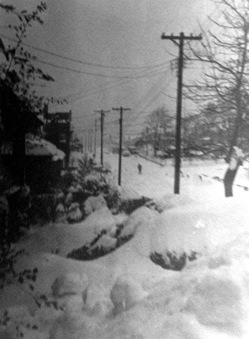 Brookline Boulevard - 1950