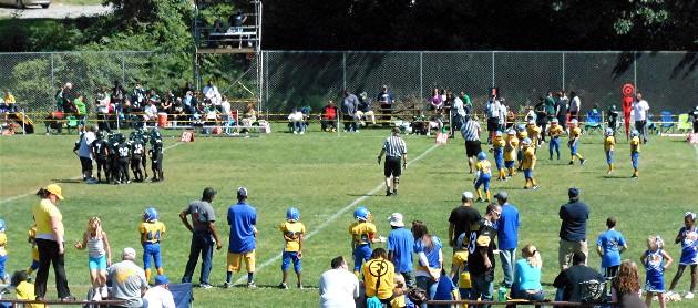 Brookline Knights