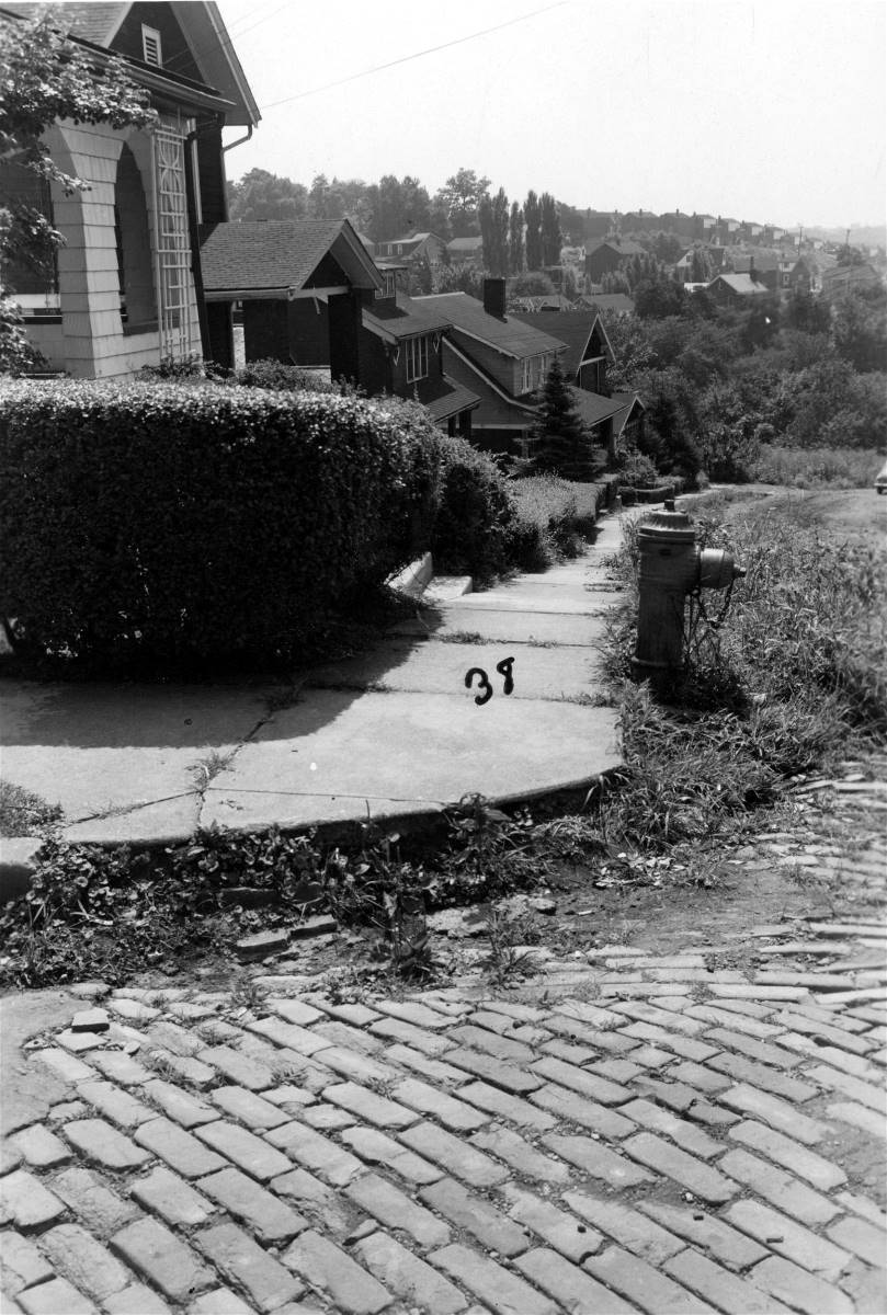 Chelton Avenue - March 1953