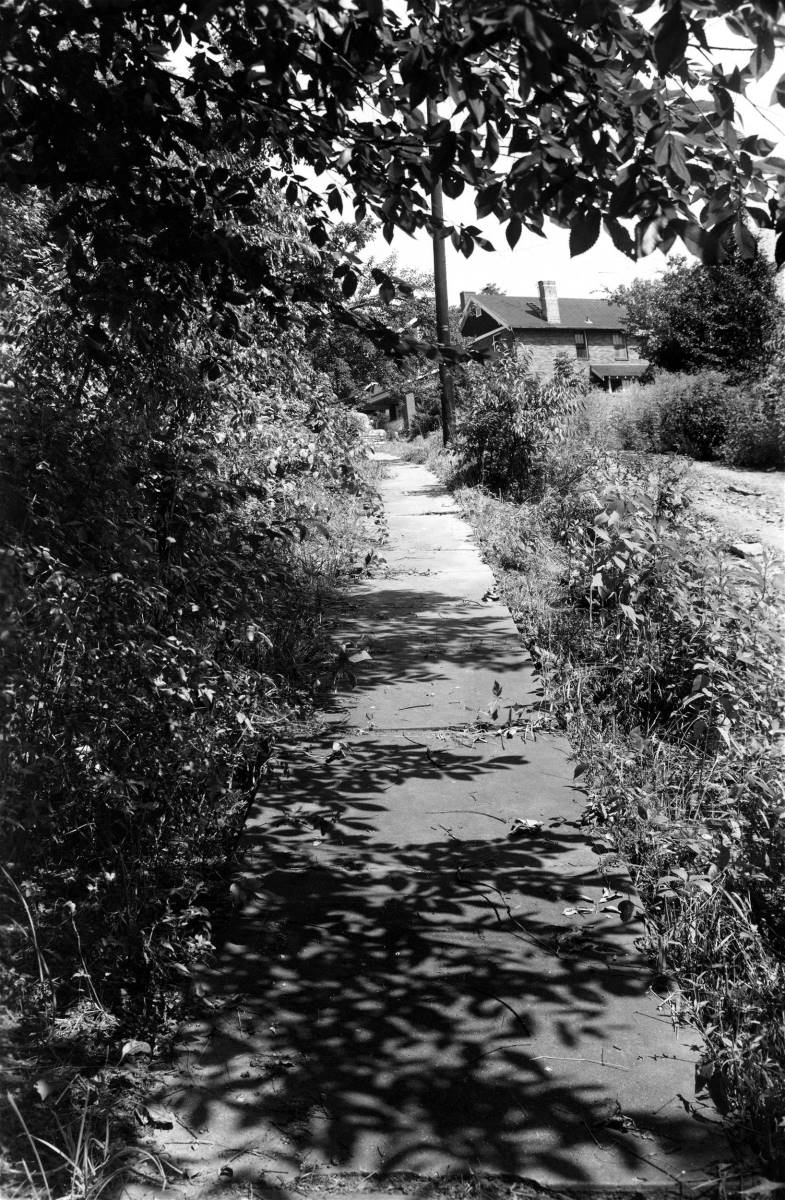 Chelton Avenue - March 1953