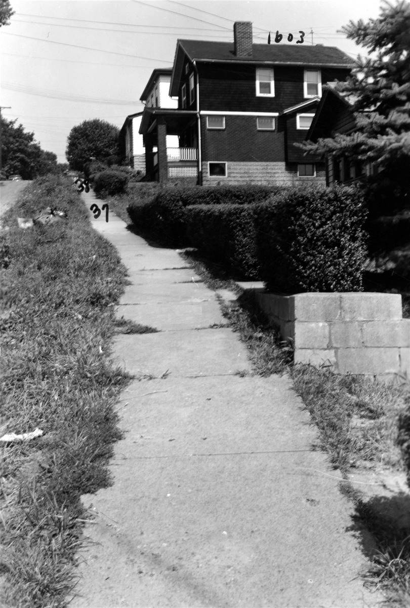 Chelton Avenue - March 1953