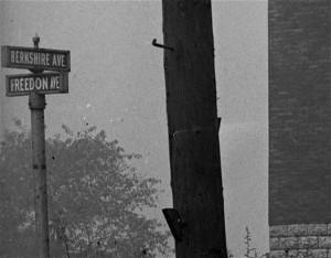 Freedom Avenue and Berkshire Avenue street sign
Note the mispelling - 'Freedon Avenue' - 1924