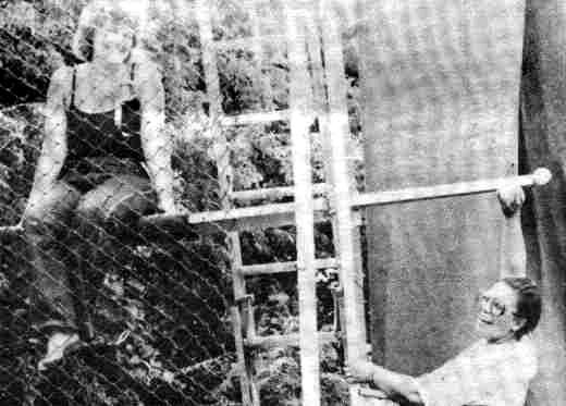 Picture of
 the dunking booth