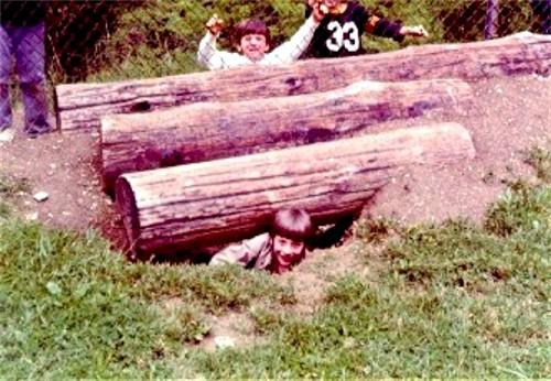 Logs along the fence