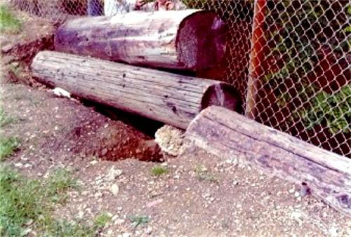 Logs along the fence