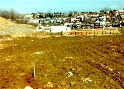Constructing the new fields.