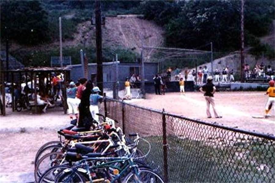 Picture of the old fields in 1981.
