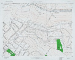 Plate 138